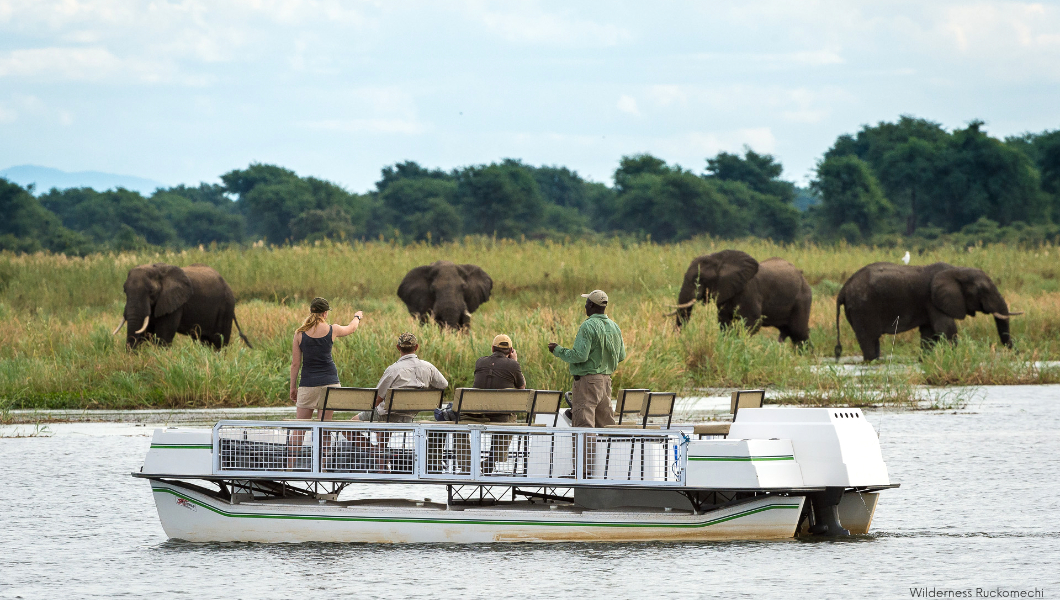 boat safari